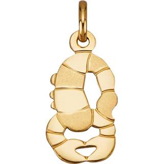 👉 Hanger goud legering geel vrouwen luxueus materiaal geelgoudkleur Sterrenbeeld Schorpioen Diemer Gold 4055707089830