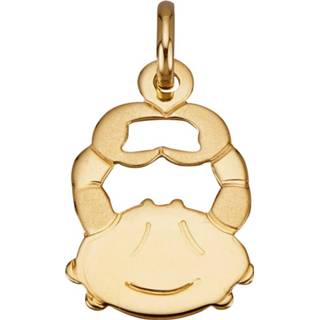 👉 Hanger goud legering geel vrouwen geelgoudkleur Sterrenbeeld Kreeft Diemer Gold 4055707089939