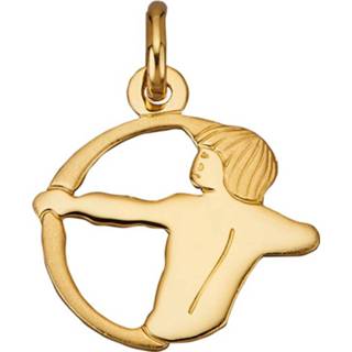 👉 Hanger goud legering geel vrouwen Sterrenbeeld Boogschutter geelgoudkleur Diemer Gold 4055707091192