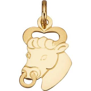 👉 Hanger goud legering geel vrouwen gesatineerd geelgoudkleur Sterrenbeeld Stier Diemer Gold 4055707094483