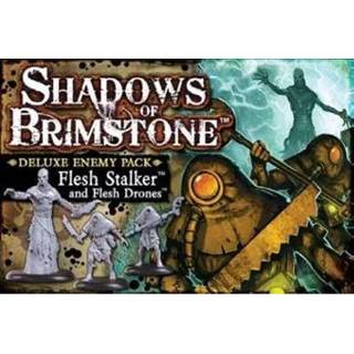 👉 Drone Shadows of Brimstone: Flesh Stalker & Drones Deluxe Enemy Pack 9781941816318