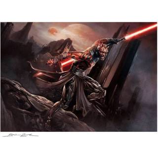 👉 Star Wars Art Print Darth Maul: Savage Rage 46 x 61 cm - unframed 747720254947