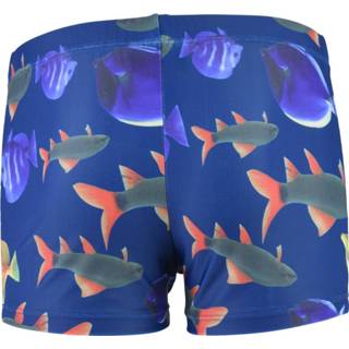 👉 Claesen's Zwembroek Fish