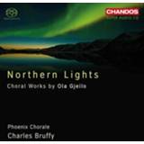 👉 Phoenix Chorale Northern Lights 95115510025