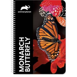 👉 Notitieboek multikleur Animal Planet Vlinder 17 X 25 Cm 60 Pagina's 8720585066438