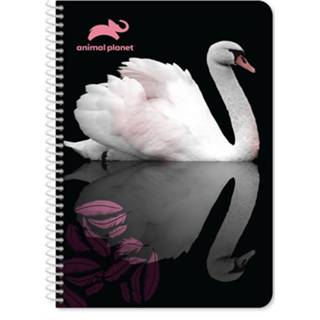 👉 Notitieboek multikleur Animal Planet Zwaan 17 X 25 Cm 60 Pagina's 8720585066483