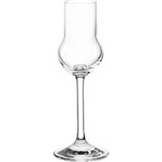 👉 Borrelglas transparant glas Montana Pure 60 Ml 16,5 Cm 4002541424341