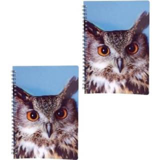 👉 Schrift multikleur 2x Stuks Uilen Vogels Thema Notitieboekje 3d 21cm - Opschrijfboekjes/school Schriften 8720576308608