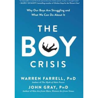 👉 Engels jongens The Boy Crisis 9781948836135