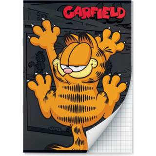 👉 Schrift multikleur Garfield Schriften Ruit 10 Mm A4 - 2 Stuks 9098998030247