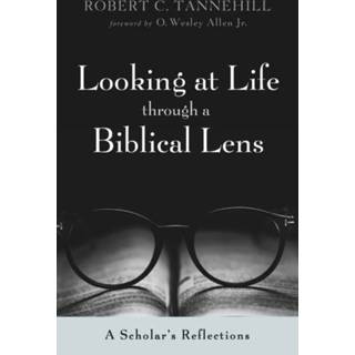 👉 Lens engels Looking at Life through a Biblical 9781725298491