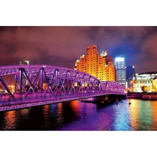 👉 Fotobehang vlies multikleur Dimex Shanghai 375x250cm 5-banen 8592900110221