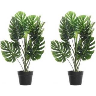 👉 Kunstplant groene zwarte plastic kunststof groen 2x Monstera/gatenplanten Kunstplanten 80 Cm In Pot - Kamerplant Kunstplanten/nepplanten 8720147326727