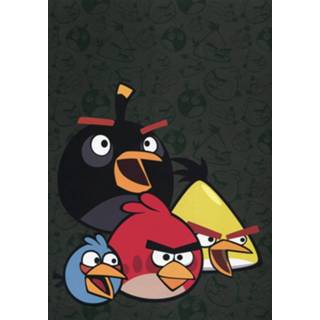 👉 Schoolschrift multikleur Angry Birds A4 Ruit 10 Mm - 2 Stuks 9098998013172