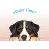 👉 Placemat roze kunststof Plenty Gifts Studio Pets Dinnertime 42 X 30 Cm 8718021511857