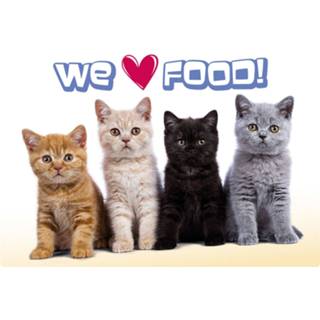 👉 Placemat beige kunststof multikleur Plenty Gifts Studio Pets Love Food 42 X 30 Cm 8718021514032