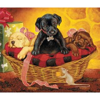 👉 Multikleur Mona Lisa Diamond Painting Labrador 30 X 40 Cm 5-delig 8719978992324