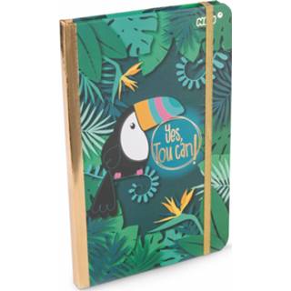 👉 Notitieboek groen papier goud roze Nici Notitieboekje Toecan 20 X 13 Cm Goud/groen 4012390454222