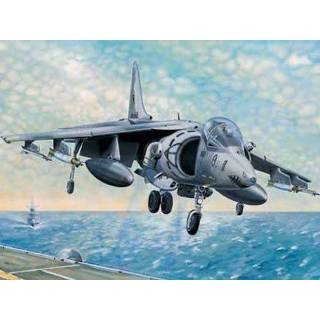 👉 Trumpeter 1/32 AV-8B Harrier II