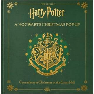 👉 Engels Harry Potter: A Hogwarts Christmas Pop-Up 9781647221836