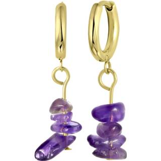 Oorbel staal goud One Size Stalen goldplated oorbellen met amethyst 8719802251979