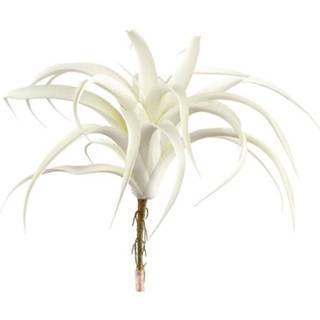 👉 Wit One Size Tillandsia Blad Kunsttak 30 x 29 cm 8720014211675