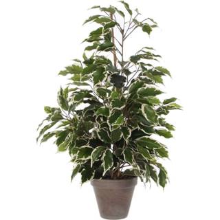 👉 Kunstplant groen bont One Size Ficus Exotica H65 x Ø40 cm Terracotta pot 8712293810632