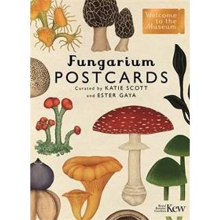 👉 Postkaart engels Fungarium Postcards 9781787419896