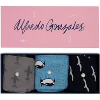 👉 Meerkleurig Alfredo Gonzales animals 3P giftbox birds, penguins, && sharks - 35-37 8719497417599