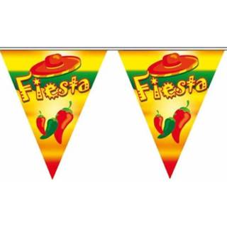 👉 Vlaggenlijn One Size meerkleurig Fiesta 5 meter 8718758298816