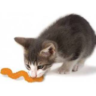 👉 Cat wiggle worm 871864003298