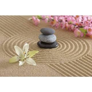 👉 Fotobehang vlies multikleur Dimex Zen Garden 375x250cm 5-banen 8592900111174