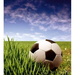 👉 Fotobehang vlies multikleur Dimex Soccer Ball 225x250cm 3-banen 8592900123030