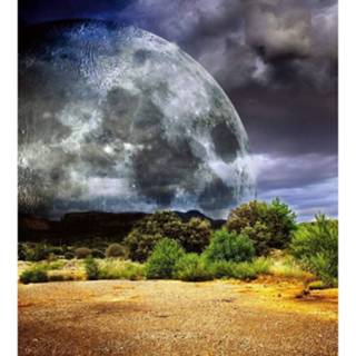 👉 Fotobehang vlies multikleur Dimex Moon 225x250cm 3-banen 8592900121852