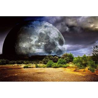👉 Fotobehang vlies multikleur Dimex Moon 375x250cm 5-banen 8592900111853