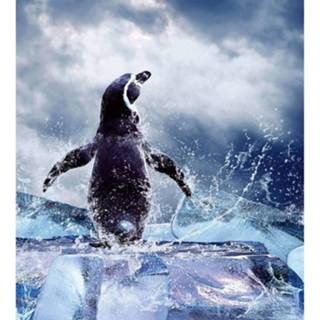 👉 Fotobehang vlies multikleur Dimex Penguin 225x250cm 3-banen 8592900122194