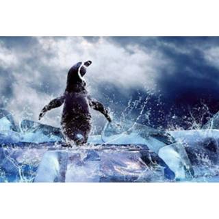👉 Fotobehang vlies multikleur Dimex Penguin 375x250cm 5-banen 8592900112195