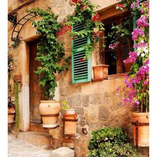 👉 Fotobehang vlies multikleur Dimex Street Garden 225x250cm 3-banen 8592900120466