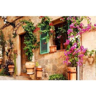 👉 Fotobehang vlies multikleur Dimex Street Garden 375x250cm 5-banen 8592900110467