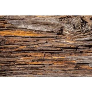 👉 Fotobehang vlies multikleur Dimex Tree Bark 375x250cm 5-banen 8592900111594