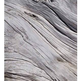 👉 Fotobehang vlies multikleur Dimex Tree Texture 225x250cm 3-banen 8592900121609