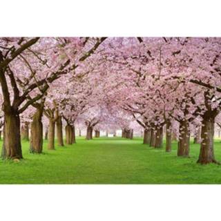 👉 Fotobehang vlies multikleur Dimex Cherry Trees 375x250cm 5-banen 8592900111051