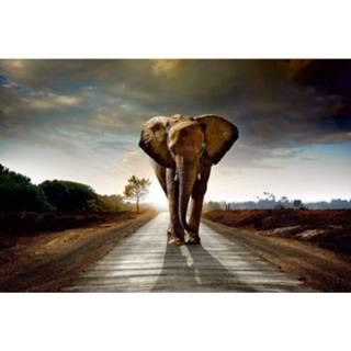 👉 Fotobehang vlies multikleur Dimex Walking Elephant 375x250cm 5-banen 8592900112256