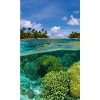 👉 Fotobehang vlies multikleur Dimex Coral Reef 150x250cm 2-banen 8592900131493