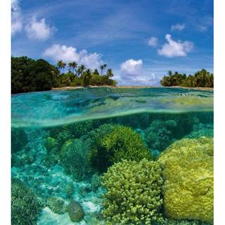 👉 Fotobehang vlies multikleur Dimex Coral Reef 225x250cm 3-banen 8592900122002