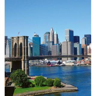 👉 Fotobehang vlies multikleur Dimex Brooklyn Bridge 1 225x250cm 3-banen 8592900120015