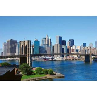 👉 Fotobehang vlies multikleur Dimex Brooklyn Bridge 1 375x250cm 5-banen 8592900110016