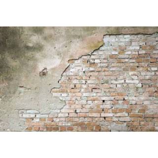 👉 Fotobehang vlies multikleur Dimex Grunge Wall 375x250cm 5-banen 8592900111686