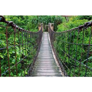 👉 Fotobehang vlies multikleur Dimex Footbridge 375x250cm 5-banen 8592900110849