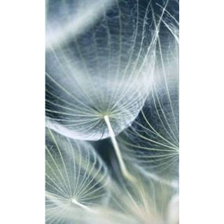 Fotobehang vlies multikleur Dimex Dandelion Macro 150x250cm 2-banen 8592900130892